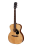 Eastman Guitars PCH2-OM Westerngitarre