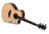 Sigma Guitars GECE-3+ Westerngitarre