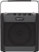 fender-passport-mini-medium.jpg fender-passport-mini-medium.jpg