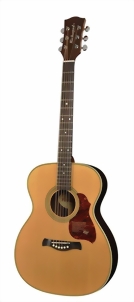 richwood-guitars-a-65-va-m.jpg