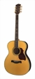 richwood-guitars-a-70-va-s.jpg