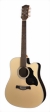 richwood-guitars-d-60-ce-s.jpg