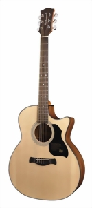 richwood-guitars-g-40-ce-m.jpg