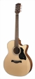 richwood-guitars-g-40-ce-s.jpg
