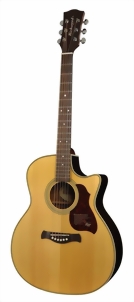 richwood-guitars-g-65-ceva-m.jpg